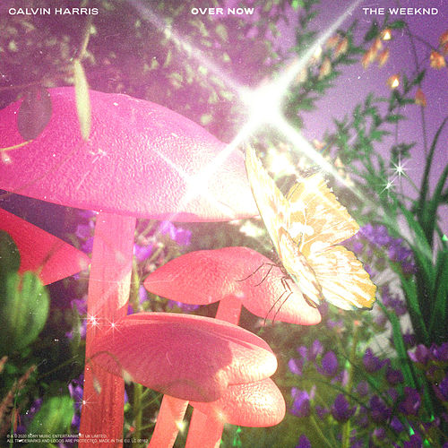 Calvin Harris x The Weeknd - Over Now