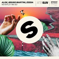 Alok x Bruno Martini x Zeeba - Never Let Me Go