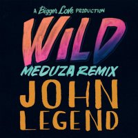Ton de apel: John Legend - Wild (Meduza Remix)