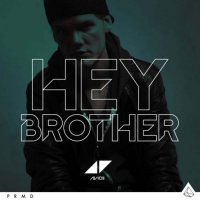 Avicii - Hey Brother