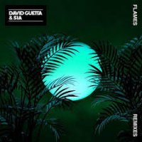 David Guetta x Sia - Flames (Robin Schulz Remix)