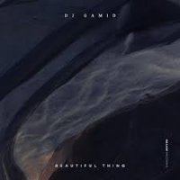 Dj Gamid - Beautiful Thing