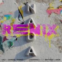 Ton de apel: Danna Paola, Cali Y El Dandee, Guaynaa, Brytiago, Akon - Nada Remix