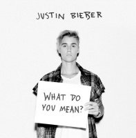 Ton de apel: Justin Bieber - What Do You Mean