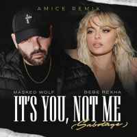 Ton de apel: Masked Wolf x Bebe Rexha - It Is You Not Me Sabotage (Amice Remix)