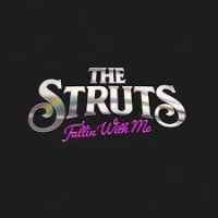 Ton de apel: The Struts – Fallin’ With Me